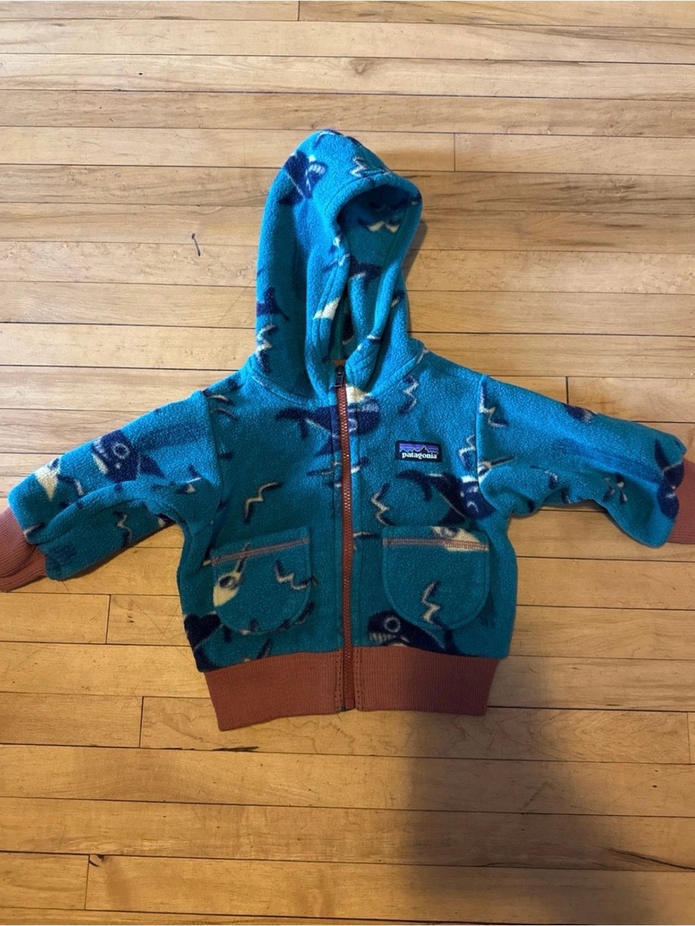 Patagonia Teal Fleece Hoodie with Navy and Cream Fish Print